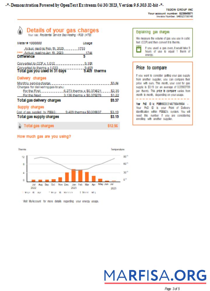 Downloadable New York PSEG utility business bill, page 3,SCR download for verification